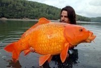 Carpa